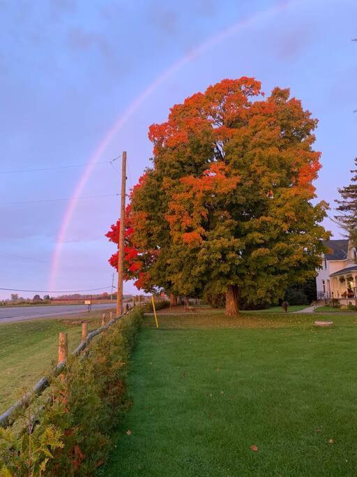 The Barns Of Brighton Near Prince Edward County Dış mekan fotoğraf